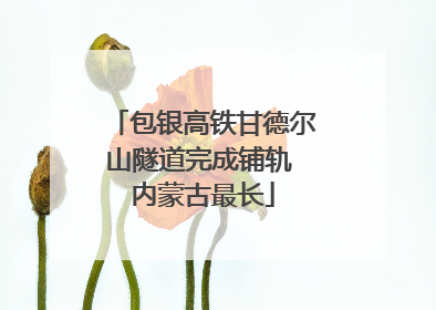 包银高铁甘德尔山隧道完成铺轨 内蒙古最长
