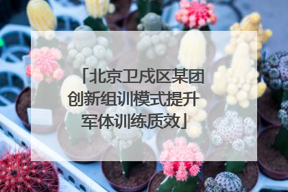 北京卫戍区某团创新组训模式提升军体训练质效