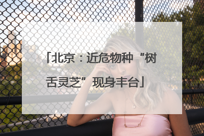 北京：近危物种“树舌灵芝”现身丰台