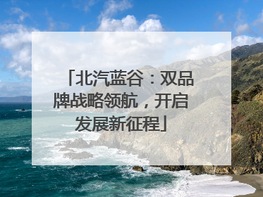 北汽蓝谷：双品牌战略领航，开启发展新征程
