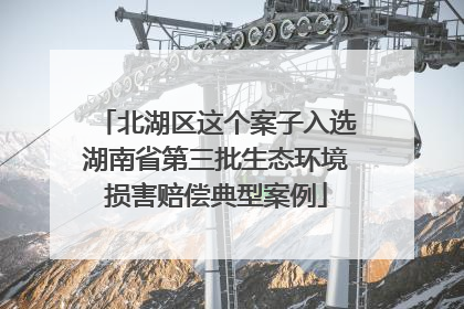北湖区这个案子入选湖南省第三批生态环境损害赔偿典型案例