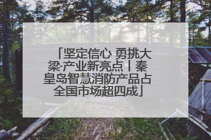 坚定信心 勇挑大梁·产业新亮点丨秦皇岛智慧消防产品占全国市场超四成