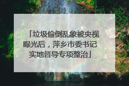 垃圾偷倒乱象被央视曝光后，萍乡市委书记实地督导专项整治