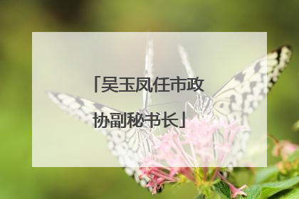 吴玉凤任市政协副秘书长