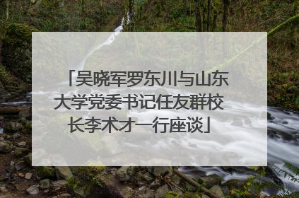 吴晓军罗东川与山东大学党委书记任友群校长李术才一行座谈