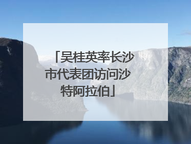 吴桂英率长沙市代表团访问沙特阿拉伯