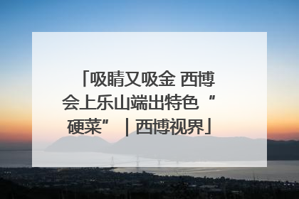 吸睛又吸金 西博会上乐山端出特色“硬菜”｜西博视界