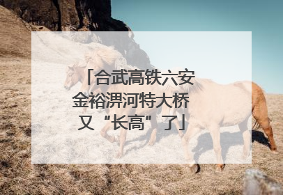 合武高铁六安金裕淠河特大桥又“长高”了