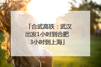 合武高铁：武汉出发1小时到合肥3小时到上海