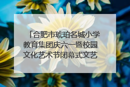 合肥市琥珀名城小学教育集团庆六一暨校园文化艺术节闭幕式文艺汇演圆满举行