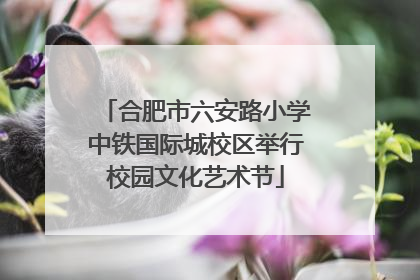 合肥市六安路小学中铁国际城校区举行校园文化艺术节