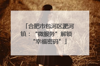 合肥市包河区淝河镇：“微服务”解锁“幸福密码”