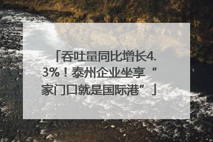 吞吐量同比增长4.3%！泰州企业坐享“家门口就是国际港”