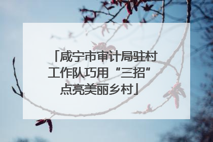 咸宁市审计局驻村工作队巧用“三招”点亮美丽乡村