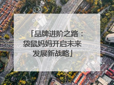 品牌进阶之路：袋鼠妈妈开启未来发展新战略