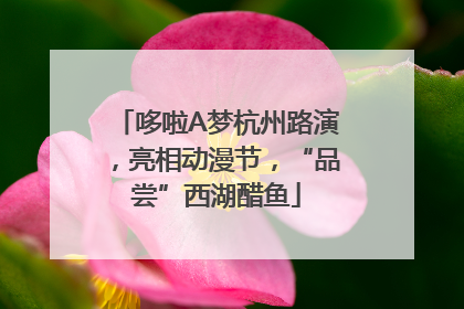 哆啦A梦杭州路演，亮相动漫节，“品尝”西湖醋鱼