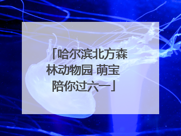 哈尔滨北方森林动物园 萌宝陪你过六一