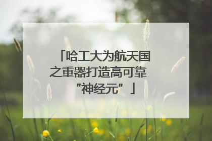 哈工大为航天国之重器打造高可靠“神经元”