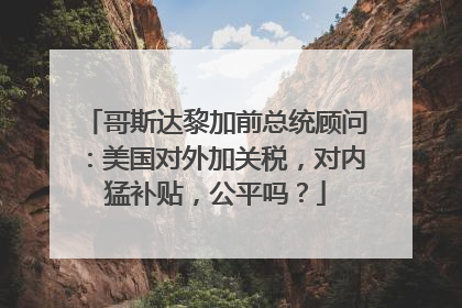 哥斯达黎加前总统顾问：美国对外加关税，对内猛补贴，公平吗？