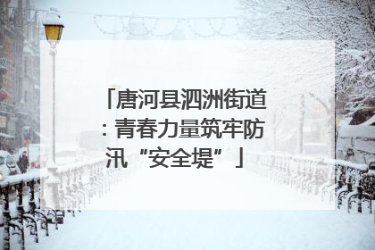 唐河县泗洲街道：青春力量筑牢防汛“安全堤”