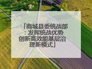 商城县委统战部：发挥统战优势 创新高效能基层治理新模式