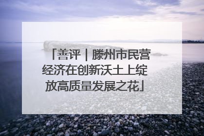 善评｜滕州市民营经济在创新沃土上绽放高质量发展之花