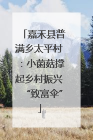 嘉禾县普满乡太平村：小菌菇撑起乡村振兴“致富伞”