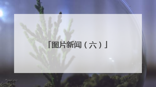 图片新闻（六）