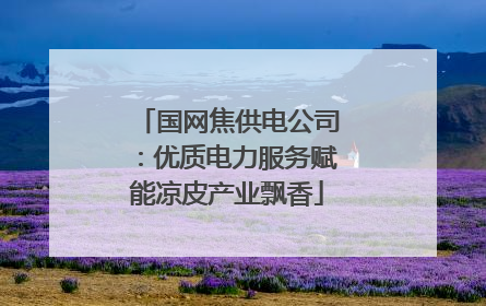 国网焦供电公司：优质电力服务赋能凉皮产业飘香