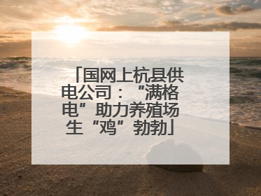 国网上杭县供电公司：“满格电”助力养殖场生“鸡”勃勃
