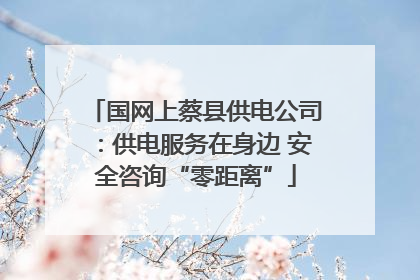 国网上蔡县供电公司：供电服务在身边 安全咨询“零距离”