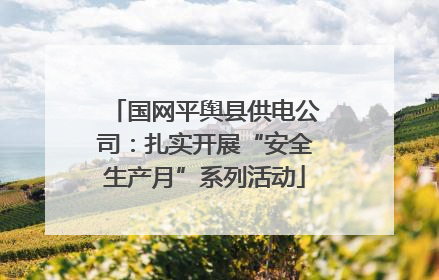 国网平舆县供电公司：扎实开展“安全生产月”系列活动