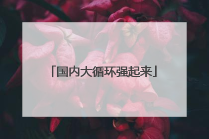 国内大循环强起来