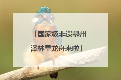 国家级非遗鄂州泽林旱龙舟来啦