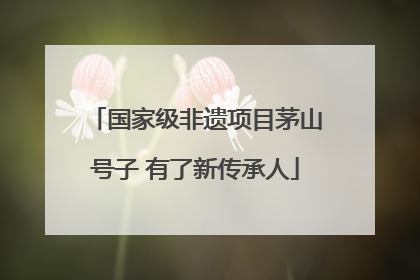 国家级非遗项目茅山号子 有了新传承人