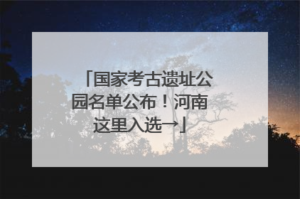 国家考古遗址公园名单公布！河南这里入选→