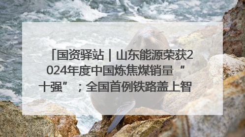 国资驿站｜山东能源荣获2024年度中国炼焦煤销量“十强”；全国首例铁路盖上智慧物流园钢结构主体完工