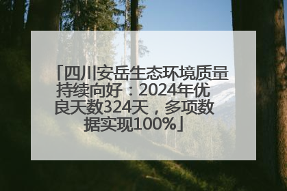 四川安岳生态环境质量持续向好：2024年优良天数324天，多项数据实现100%