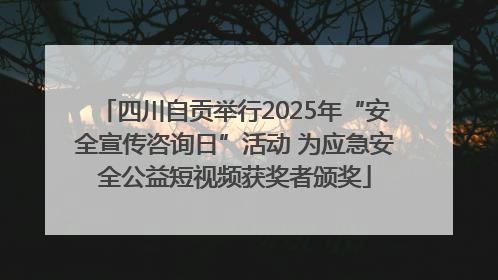 四川自贡举行2025年“安全宣传咨询日”活动 为应急安全公益短视频获奖者颁奖
