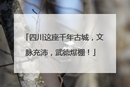四川这座千年古城，文脉充沛，武德爆棚！