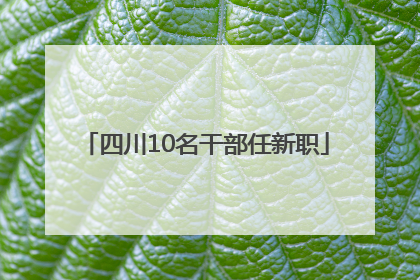 四川10名干部任新职