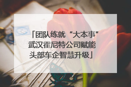 团队练就“大本事” 武汉霍尼特公司赋能头部车企智慧升级
