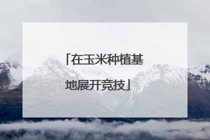 在玉米种植基地展开竞技