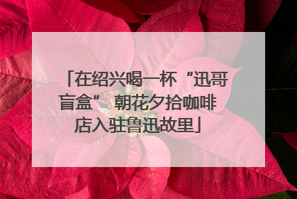 在绍兴喝一杯“迅哥盲盒” 朝花夕拾咖啡店入驻鲁迅故里
