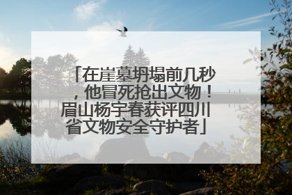在崖墓坍塌前几秒，他冒死抢出文物！眉山杨宇春获评四川省文物安全守护者