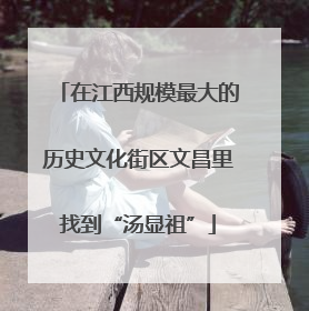 在江西规模最大的历史文化街区文昌里找到“汤显祖”