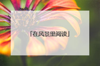 在风景里阅读