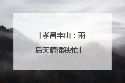 孝昌丰山：雨后天晴插秧忙