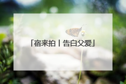 宿来拍丨告白父爱