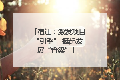 宿迁：激发项目“引擎” 挺起发展“脊梁”